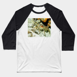 Caribbean Reef Lobster showing its beautiful colors Baseball T-Shirt